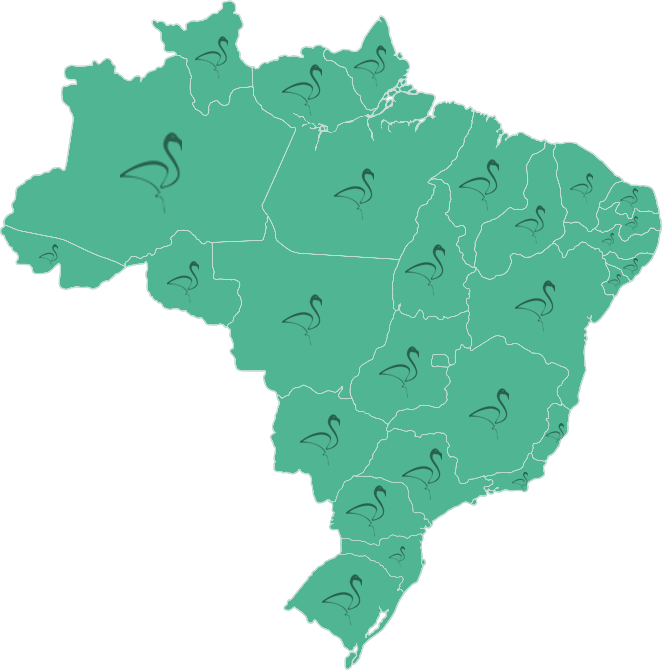 Atendimento Nacional Flamingo Papéis